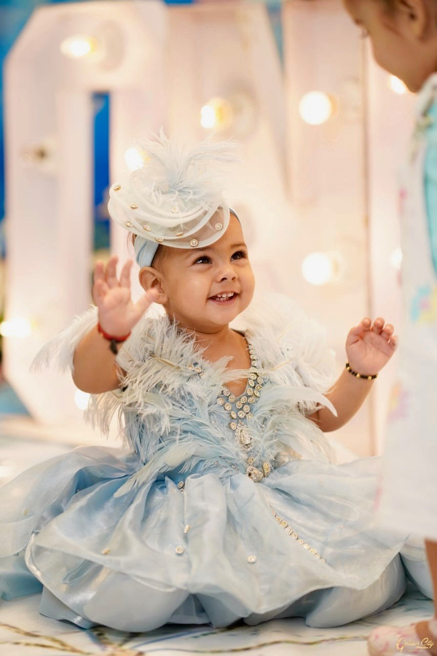 Cinderella Feather Hairband