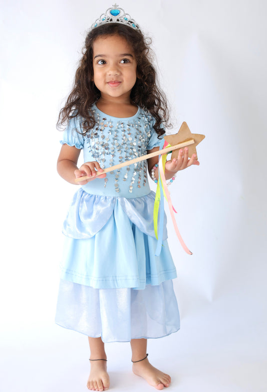 Cinderella Princess Dress